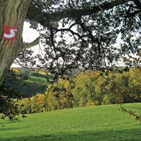 Markierung Erlebniswege Sieg