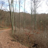 am Wachauer Höhenweg