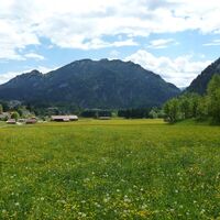 Bergtour Kolbensattelhütte über Kofel - Saftige Wiesen mit Blick auf Laber und Kofel
