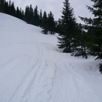 Kragelschinken/Plöschkogel