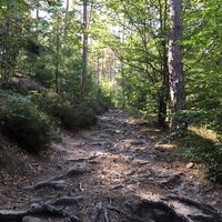 Wanderung zum Weinbiet