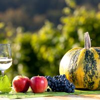 Kulinarik bestimmt den Süden