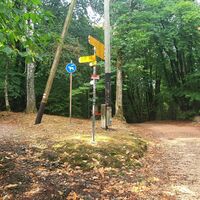 Links den Reitweg nehmen