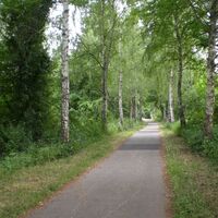Radweg um den Mondsee