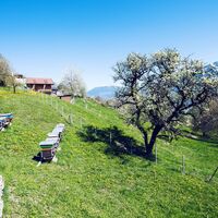 Frühling auf dem Plateau de Vérossaz