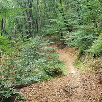 Trail ins Tal