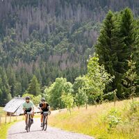Gravelbiker am Raimartihof