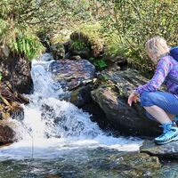 Stimmung beim Wasser