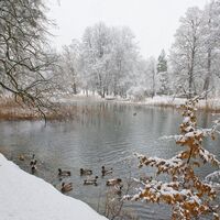 Löwenteich Matzenpark Winter