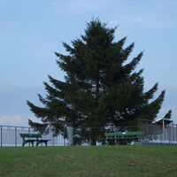 Heiligenberg, Amalienhöhe