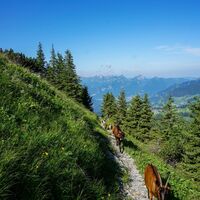 Toggenburger Höhenweg Etappe2 Wanderweg