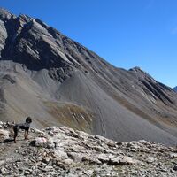 Flesspass und Vereinapass
