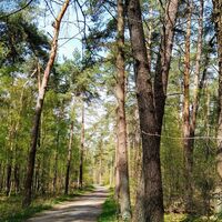 Prälatenweg