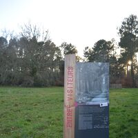 Foret-de-Migelane--EstelleSOLER--1-