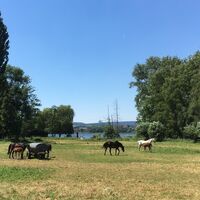 Idyllische Ausblicke vom Rundweg um den See