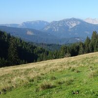 Sohlenalm