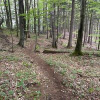 Pfannstein-Trail - Micheldorf