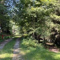 In einer Rechtskehre (hier Rückblick) kurz nach diesem Schranken scharflinks auf den Waldweg