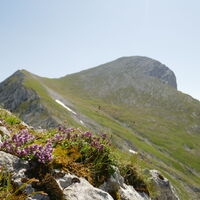 Rückblick zum Scheiblingstein