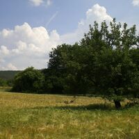 Landschaft zwischen Breitenbrunn und Faulbach