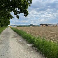 Am Waldrand