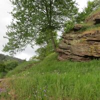 Aufstieg von Blumen gesäumt