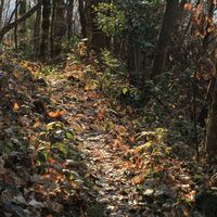 Abschnitt des Weges oberhalb der zwei Burgen