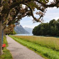 Die Allee bei der Schifflände Weesen