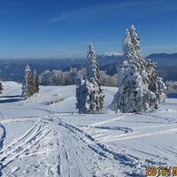 am Tirolerkogel