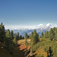 Zirbenweg
