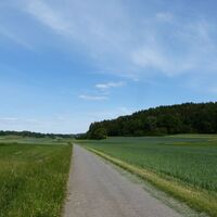 Wälder und Wiesen rund um Stammheim