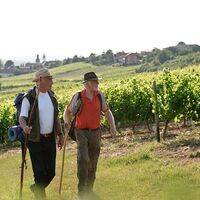 Pilger auf der Klosterroute 1