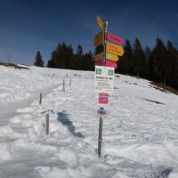Winterwanderung Selibüel