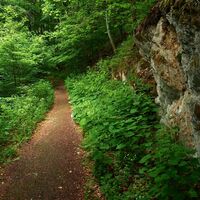 Rothaarsteig im Helletal in Winterberg
