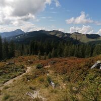 Going_Wandern_Rauher Kopf_Weg Nr9_Wilder Kaiser