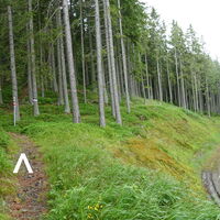 Wanderweg/-steig