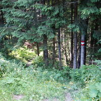 Einstieg Abstieg Naßkamm/Naßriegel