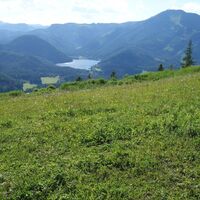 Abstieg Bürgeralm