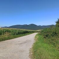 Ein Blick Richtung Hohe Mandling