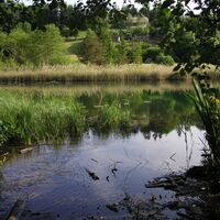 Baßgeigensee