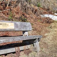 Ein 99.999 Schritte Bankerl