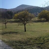 am Weg zum "Bertlsteig"