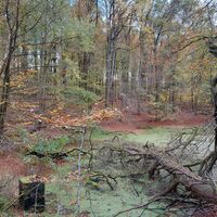 Unterwegs im Bocksieksbachtal