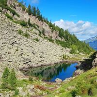 Caserina See