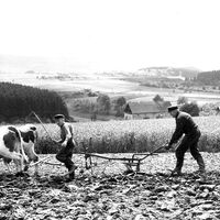 Bergmann/Bauer bei der Landarbeit