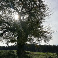 Von Grochwitz zur Talsperre Wisenta