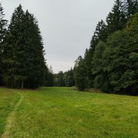 links Schauerbachtalweg, rechts Schauerbach