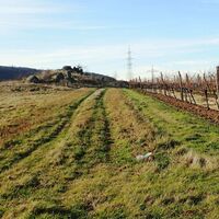 Blick zum Kogelstein