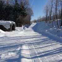 Winterwanderweg entlang der Obergailtaler Panoramaloipe