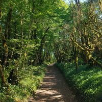Chemin du Lac d'Armaille
